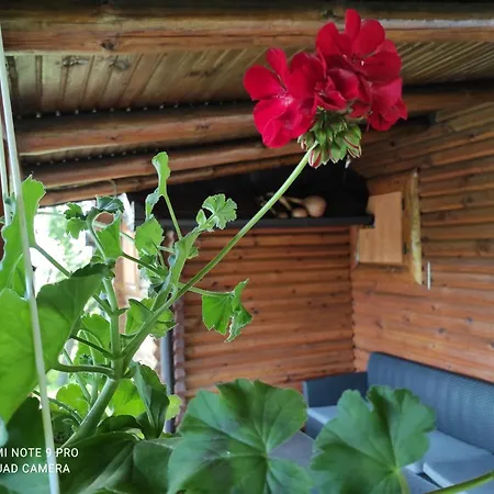 컨트리하우스 Katarina Doboj,busletic