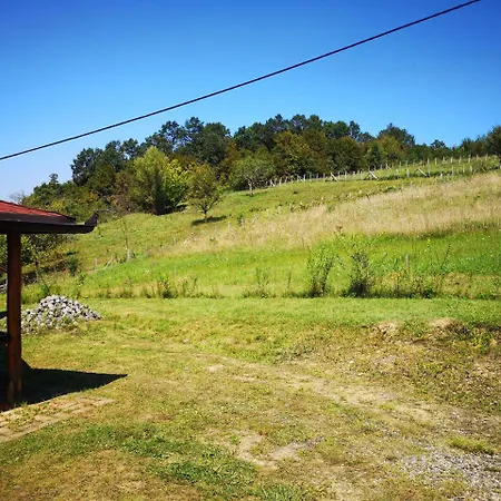 Katarina Doboj,busletic