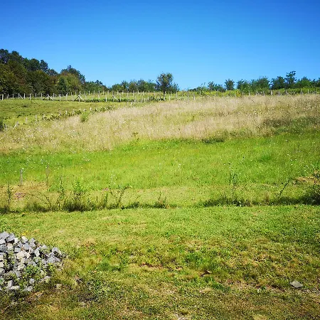 Katarina Doboj,busletic